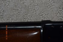 DSC_1253.JPG