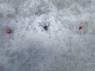 IMG_4186.jpeg IMG_4186.jpeg