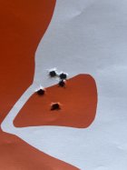 IMG_7085.jpeg