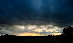 IMG_2535.jpeg