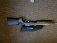 IMG_4648.jpeg