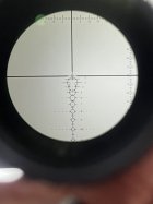 IMG_2026.jpeg