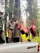 deans-2024-elk-meat-haul.jpg deans-2024-elk-meat-haul.jpg