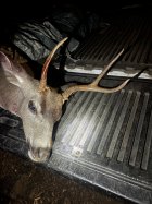 deans-2024-buck-small.jpg deans-2024-buck-small.jpg