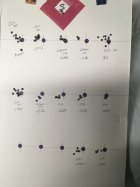 IMG_0859.jpeg