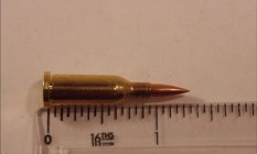 12 Caliber Squirrel cartridge #2.JPG