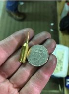 12 Caliber Squirrel cartridge #1.JPG