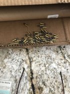IMG_2086.jpeg