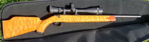 12 Caliber rifle pic small 2.JPG