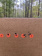 IMG_1532.jpeg