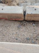 20241006_064853.jpg