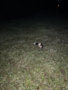 IMG_4048.jpeg