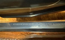 IMG_9059.jpeg