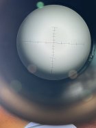 IMG_0105.jpeg