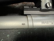 IMG_9082.jpeg