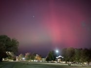 IMG_1236.jpeg