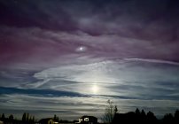 IMG_8831.jpeg