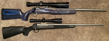 IMG_3343.jpeg