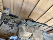 IMG_1499.jpeg IMG_1499.jpeg