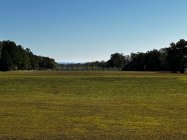 IMG_6580.JPG