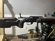 IMG_3551.jpeg