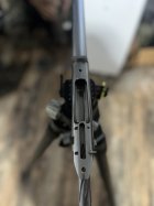 IMG_3550.jpeg