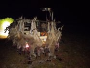 IMG_20241011_023418.jpg