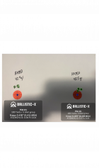Ballistic-X-Export-2024-10-18 10:03:01.087984.png
