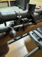 IMG_1107.jpeg