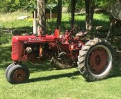 IMG_7141.jpeg