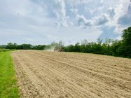 IMG_1196.jpeg