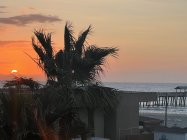 IMG_5352.jpeg