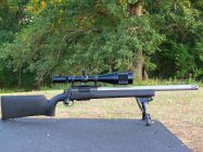 i193.photobucket.com_albums_z132_HonkerHunter_photos_Sammys_20308_029.jpg i193.photobucket.com_albums_z132_HonkerHunter_photos_Sammys_20308_029.jpg