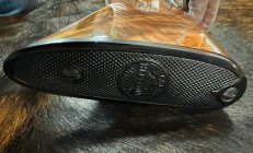 IMG_9238.jpeg