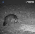 IMG_7870.jpeg