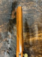 IMG_9282.jpeg