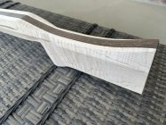 IMG_2655.jpeg