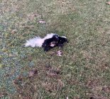 IMG_4113.jpeg