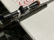 IMG_0184.jpeg IMG_0184.jpeg