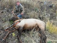 IMG_8202.jpeg
