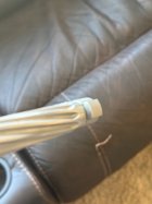 IMG_2854.jpeg