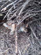 20241029_105523.jpg 20241029_105523.jpg