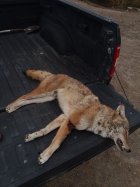 20241029_123927.jpg 20241029_123927.jpg