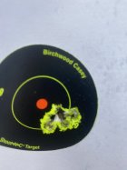 IMG_1138.jpeg
