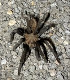 IMG_1125.jpeg