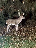 IMG_6328.jpeg