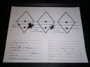 IMG_20200817_200310337.jpg
