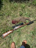 IMG_5391.jpeg