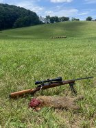 IMG_5392.jpeg