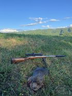 IMG_5459.jpeg